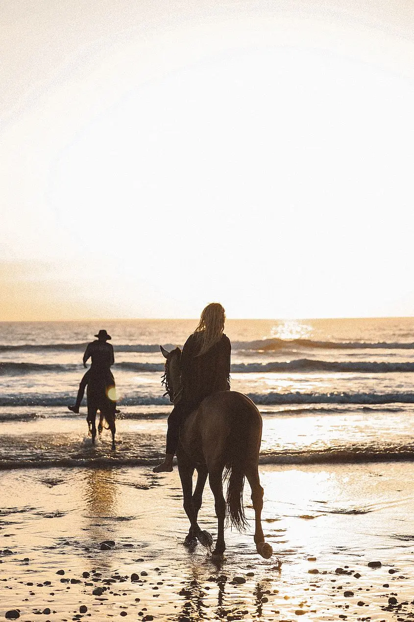 with horses at sea