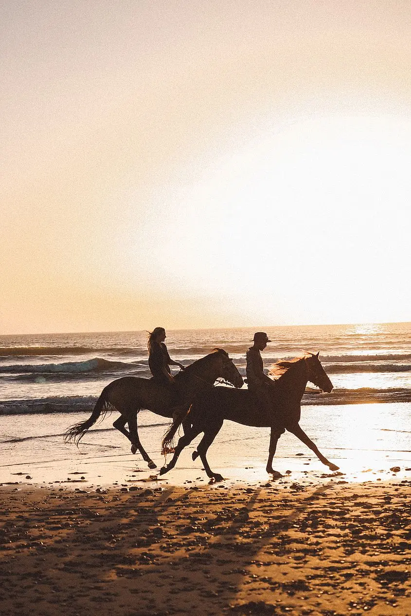 with horses at sea