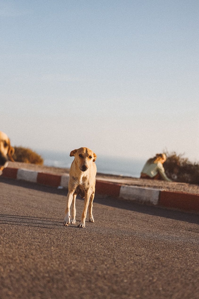 imsouane4 Imsouane - Morocco