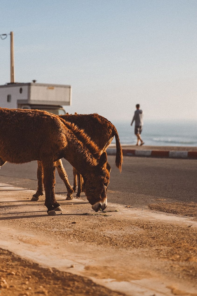 imsouane5 Imsouane - Morocco