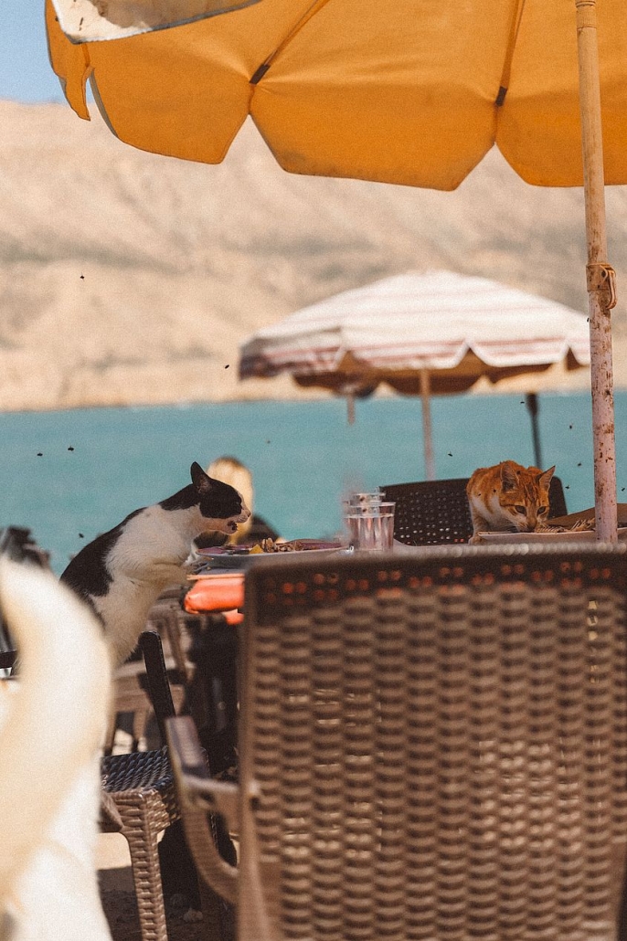 imsouane7 Imsouane - Morocco