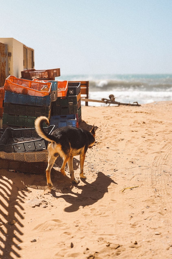 imsouane9 Imsouane - Morocco